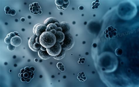 细菌细胞或病毒，显微镜下3d生成视图。照片摄影图片_ID:150938839-Veer图库