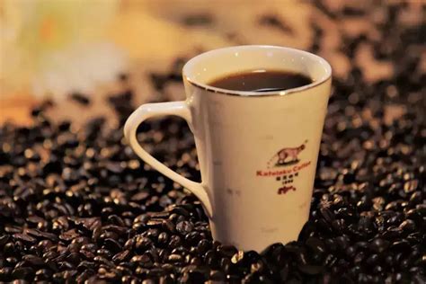 猫屎咖啡顾名思义，是由一种叫做麝香猫的粪便通过提取加工制成的 中国咖啡网 07月11日更新