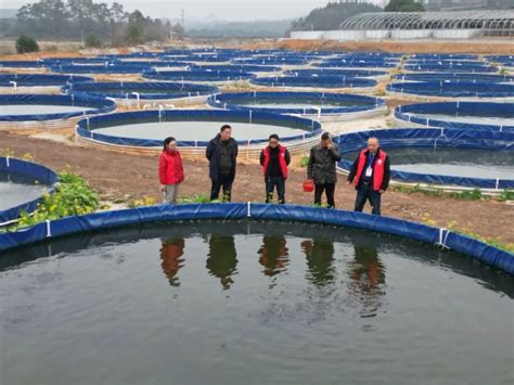 全州县开启“陆基圆形池循环水养殖”新型设施渔业养殖新模式