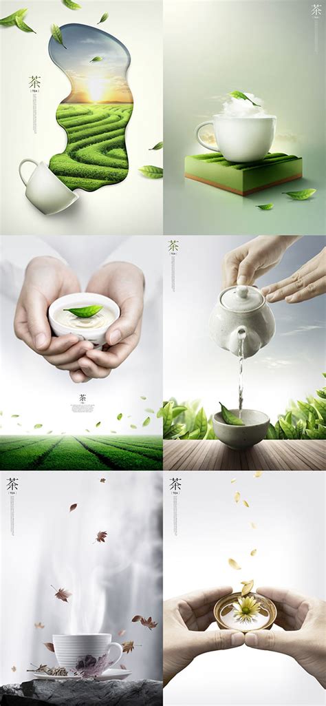 茶文化画册设计图片下载_红动中国