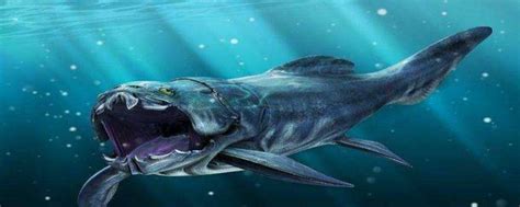 4亿年前海洋霸主邓氏鱼巨颌无敌 撕咬力最强