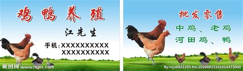 绿色名片农业贸易鸡鸭饲料化肥粮食经销名片种子名片PSD免费下载 - 图星人