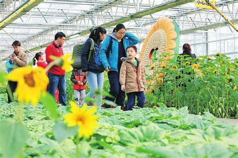 发展休闲农业必读：你必须要建立的产业思维_北京山合水易规划设计院