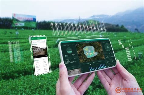 2021中国茶叶线上销售数据及用户画像分析__财经头条