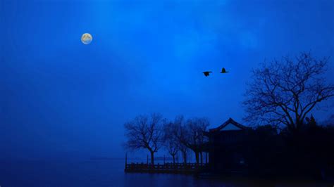 月朦胧，鸟朦胧……摄于秋雨过后的月圆之夜-中关村在线摄影论坛