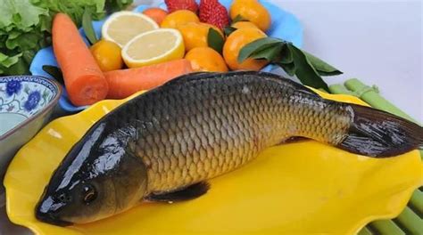中国最常吃的十种淡水鱼，鲤鱼上榜，第一是中国四大家鱼之一_排行榜123网
