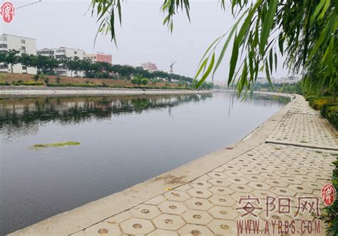 河南安阳：洪河湿地公园面积约40公顷，湿地生态环境成“金丝带”-搜狐大视野-搜狐新闻