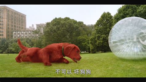 《大红狗克里弗》红色小狗一夜之间变成三米的庞然大物_腾讯视频