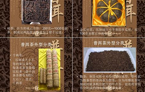 《Nature》子刊发布帝泊洱科研成果，中国科学家揭示普洱茶降脂机制！ | 每经网
