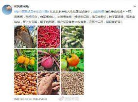 每个画面都是丰收的中国 农民心里乐开花|每个|画面-社会资讯-川北在线