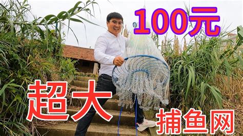 1260买条巨型石斑鱼，农村铁锅炖大鱼就是香，二十几人吃爽了