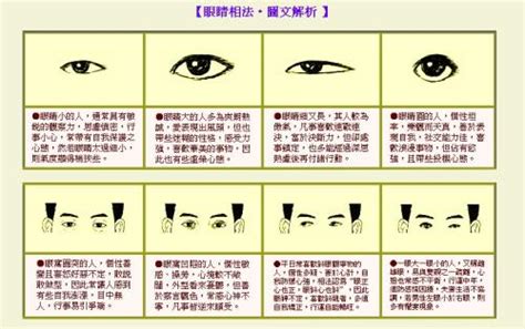 眼形种类,眼形的分类形状_大山谷图库