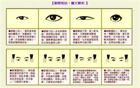 看面相大全图解图片