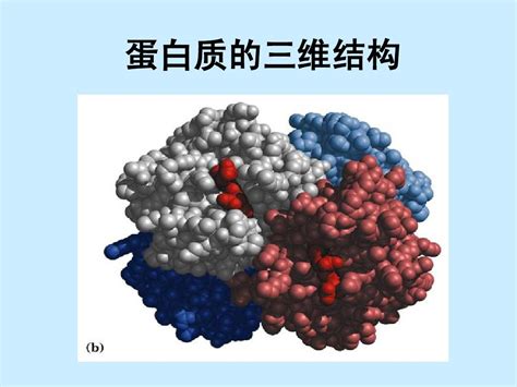 蛋白组和互作蛋白组分子基础| Aimsmass-上海胡珀生物科技有限公司