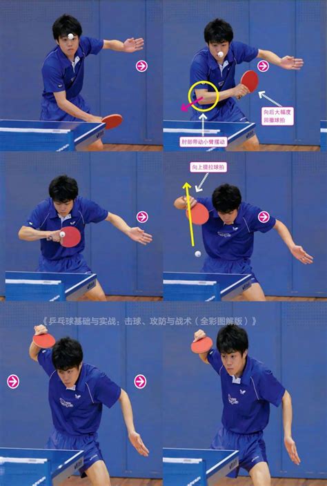 学会中性握拍技巧,李在福亲授羽毛球教学视频 - 凯德体育