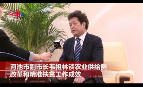 河池市副市长韦祖林：大力发展河池种养业 实现脱贫致富_ 视频中国