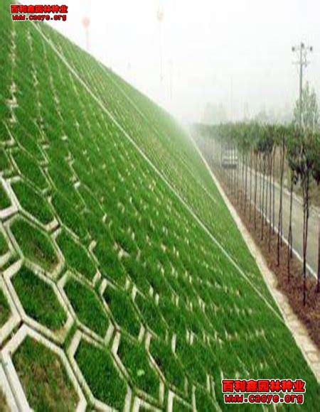 茂名混凝土生态框 云浮预制护坡砖 肇庆河道生态框格 生产厂家-阿里巴巴