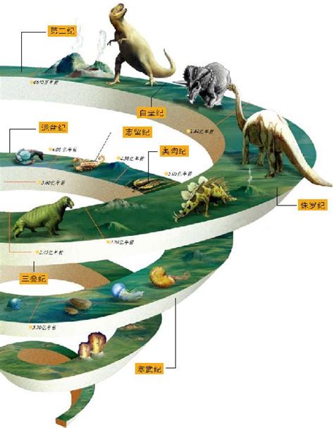 生物进化_360百科
