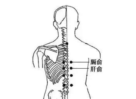 胰俞的准确位置图图片 胰俞的准确位置图图片