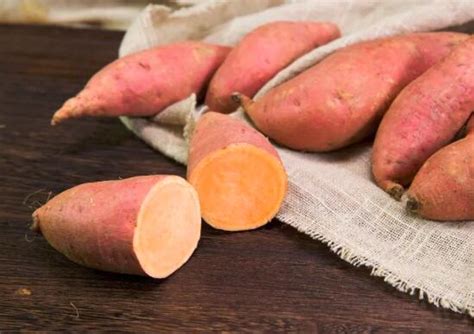 红薯的功效与作用 地瓜和红薯的区别_齐家网