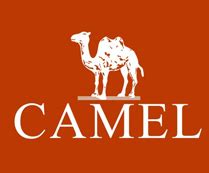 赢商大数据_CAMEL(骆驼男装)_简介_电话_门店分布_选址标准_开店计划