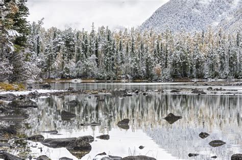 西伯利亚冬季霜冻的自然特征绘制了35摄氏高清图片下载-正版图片507169471-摄图网