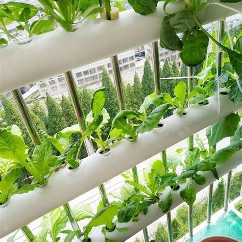 智能室内家庭菜园阳台种菜花盆无土栽培有机蔬菜盆栽种植箱长方形-阿里巴巴