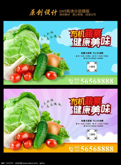 有机蔬菜健康美味蔬果促销海报图片下载_红动中国