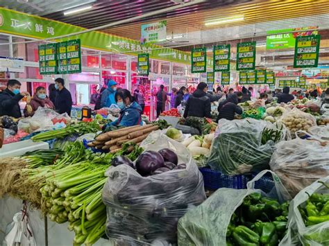 地展全新升级，2021邢台国际十字花科蔬菜产业大会来了