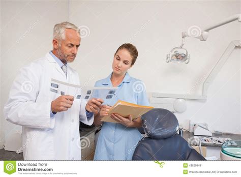 Dentist and Assistant Studying X-rays Stock Image - Image of young ...