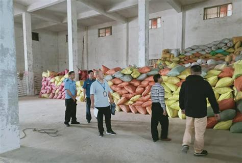 山东滨州：粮食收购加工忙-人民图片网
