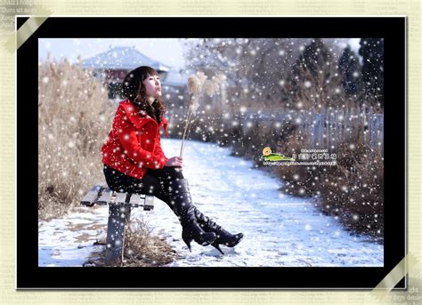 孤独的雪花莲从地里爬出来高清图片下载-正版图片506558116-摄图网
