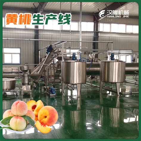 中小型黄桃汁饮料生产线设备整套黄桃汁饮料加工设备厂家_江苏汉隆机械