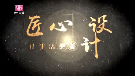 深圳卫视标志logo设计,品牌vi设计