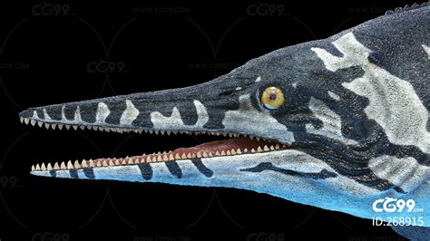 鱼龙带动画 沙尼龙 沧龙 远古生物恐龙 游动的鱼龙 蛇颈龙 恐龙 原始恐龙 石炭纪 远古水龙 深海-cg模型免费下载-CG99