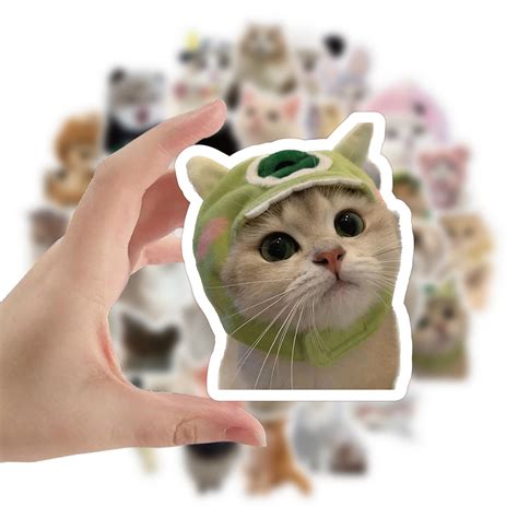 猫咪贴纸非主流头像