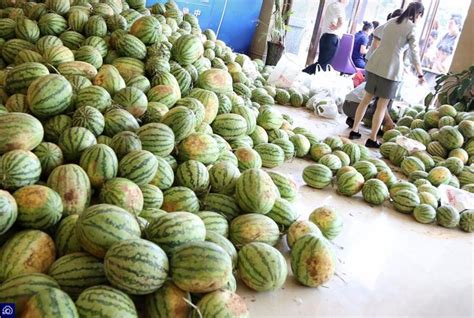 小区买6万斤西瓜免费发给7000业主，只为帮助西瓜滞销的农民