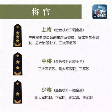 少将肩章图片