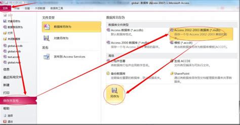 【Access数据库】Access数据库下载 v2010 中文绿色版(附安装教程)-开心电玩