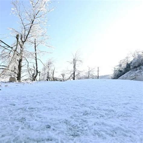 冬季雪景图片-冬季雪覆盖的田野和树木的景色素材-高清图片-摄影照片-寻图免费打包下载