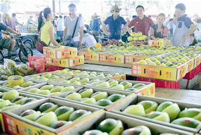 广东省湛江海田水果批发市场_地址_地图_公交_电话-淘金地农业网