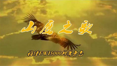 2021年海坪火把节“山鹰组合”30周年专场演唱会新闻发布会 - 知乎