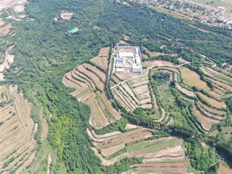 洛南县2016年县级土地开发复垦整理项目 - 招标代理案例
