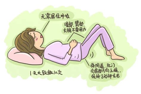 尿漏:一位妇女在做盆底肌肉练习插画图片素材_ID:374381716-Veer图库