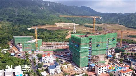 IN视频|“大鹏新区重点区域建设发展中心”正式揭牌成立_深圳新闻网
