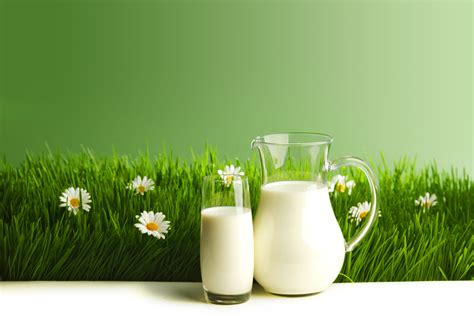 入夏了，更要坚持喝羊奶！_陕西三原康尔健乳业有限责任公司