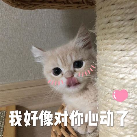 我要把你日得嗷嗷叫图片 我要把你日得嗷嗷叫图片