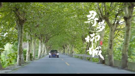成都温江城市形象宣传片《寻梦柳城》