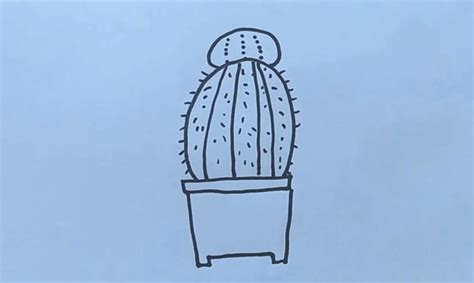仙人球简笔画图片 仙人球盆栽的画法图解教程 - 巧巧简笔画