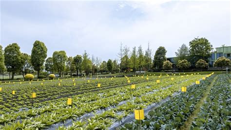 国家农业科技园区逐步投用，乐陵农科创新高地强势崛起